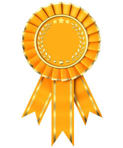 award 250x300